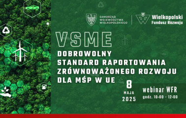 WEBINARIUM | VSME – Dobrowolny Standard Raportowania Zrównoważonego Rozwoju dla MŚP w UE